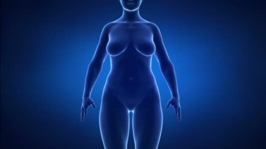 erkek - zaman atlamalı obezite için ince'den