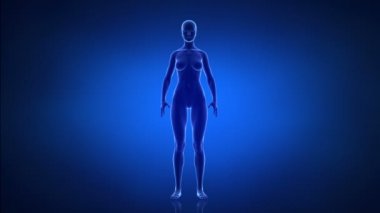 Spor ve sağlıklı yaşam kadın kavramı