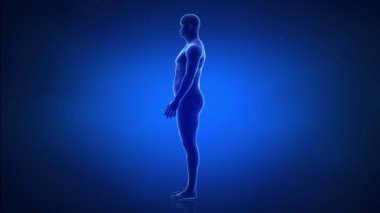 -ince zaman atlamalı obezite için gelen adam