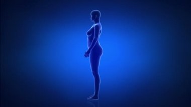 erkek - zaman atlamalı obezite için ince'den