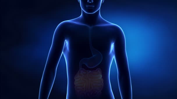 Peste dans les tripes avec processus de guérison 