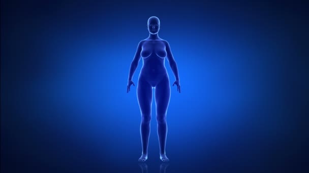 Female - from slim to obesity in time lapse — Stock Video
