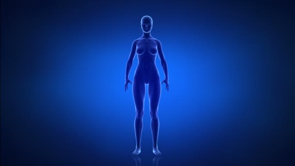 Sport et mode de vie sain concept féminin 