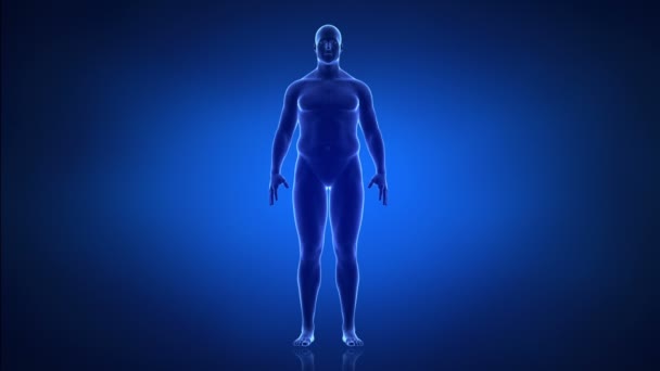 Man - from slim to obesity in time lapse — Stock Video