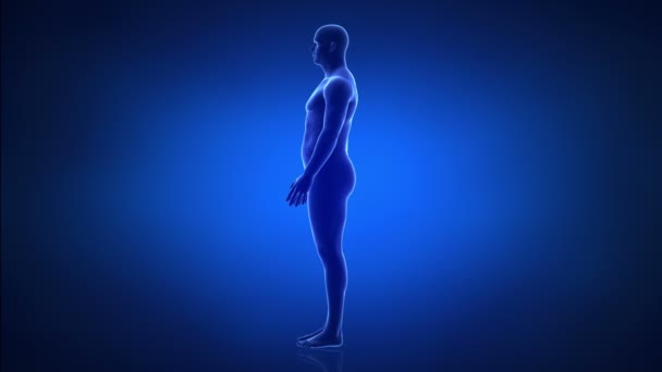 Man - from slim to obesity in time lapse — Stock Video