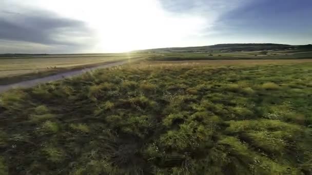 Puesta de sol sobre el prado — Vídeo de stock