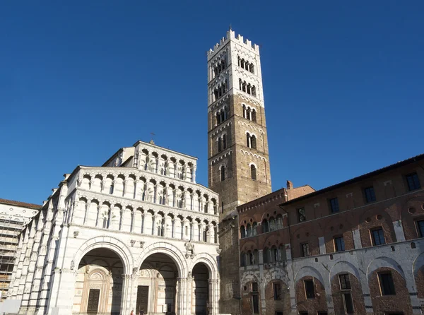 Lucca katedralen st Martin — Stockfoto