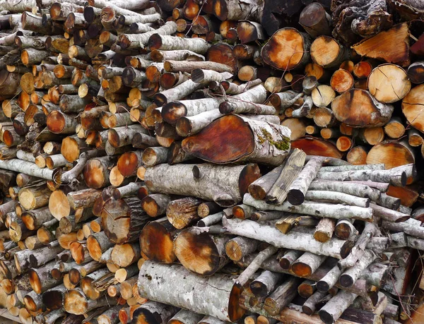 Firewood Stack — Stock Photo, Image