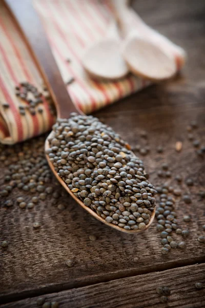 French lentils — Stock Photo, Image