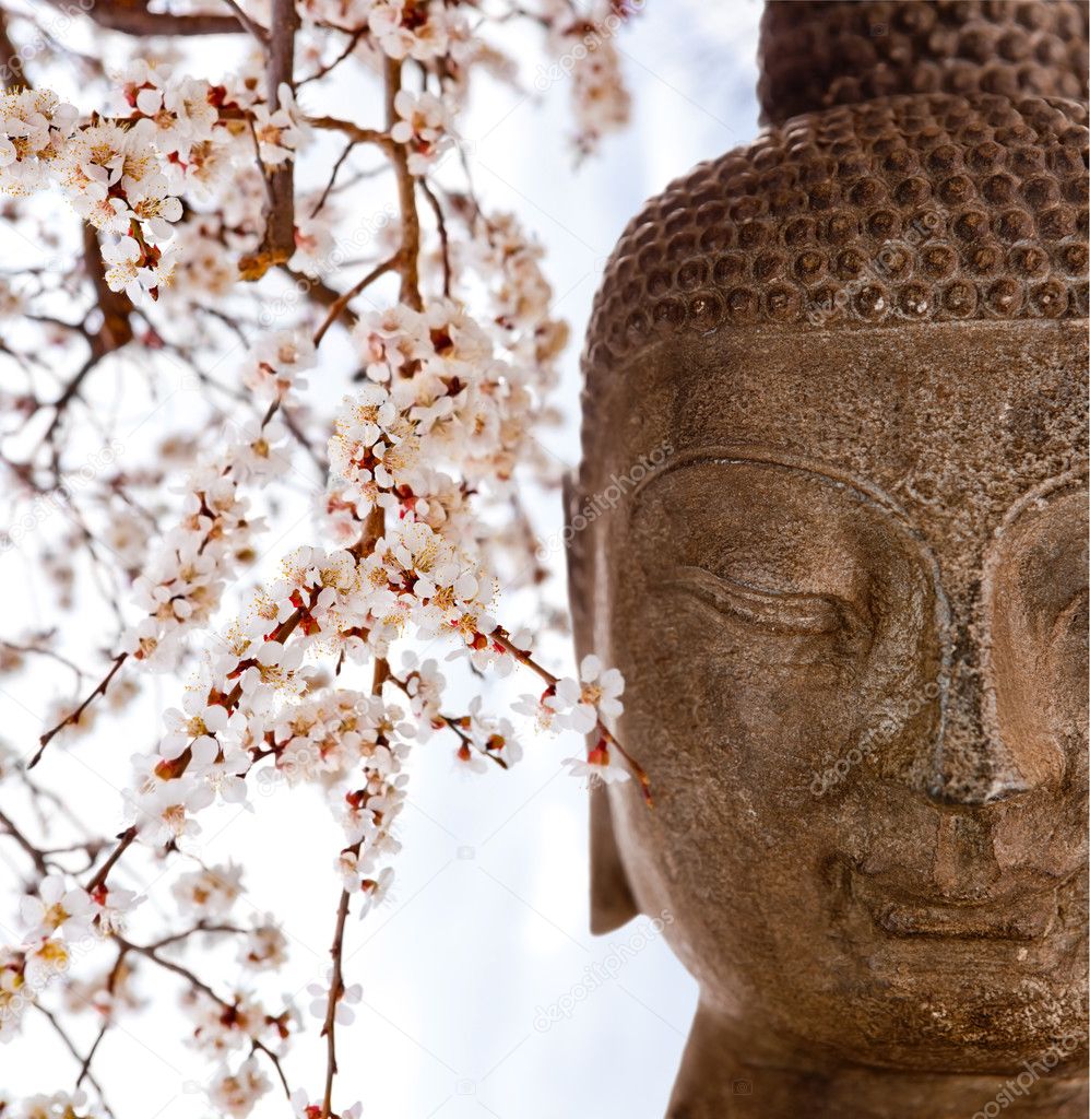 Buddha and cherry blossoms