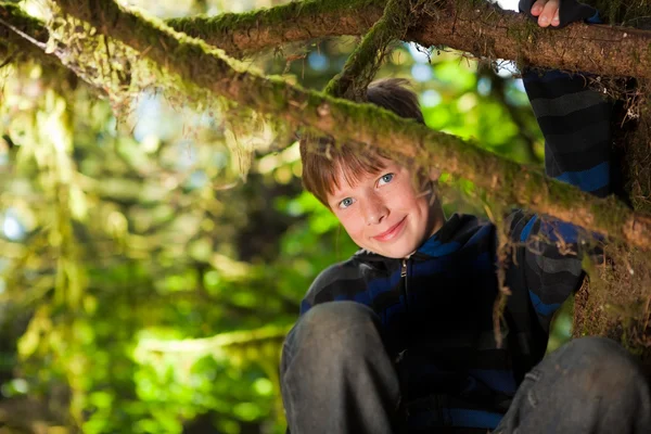 Mladý chlapec sedí v strom usmívá — Stock fotografie