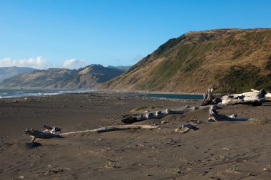 mattole plaj Kral aralığı Ulusal koruma alanı, California'dan