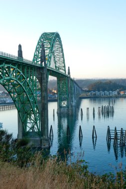 dos jarrones de madera seca, aislado sobre fondo gris