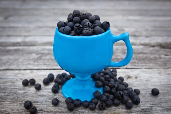 Salata çilek, gaultheria shallon — Stok fotoğraf