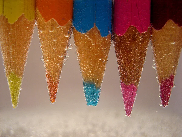 Colorful pencils close-up on white background — Stock Photo, Image