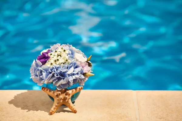 Kwiaty rozgwiazda powłoki basen — Zdjęcie stockowe