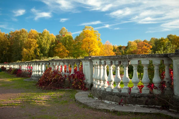 Herbst — Stockfoto