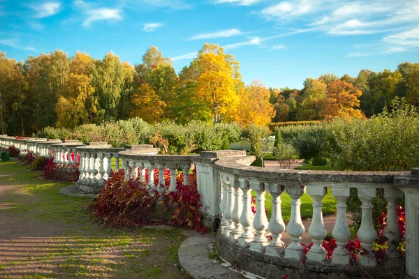 Herbst — Stockfoto