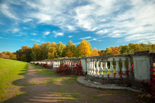 Осінь — стокове фото