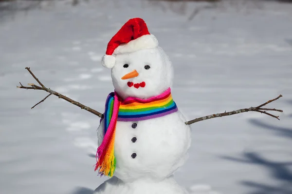 Lindo muñeco de nieve —  Fotos de Stock