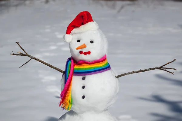 素敵な雪だるま — ストック写真