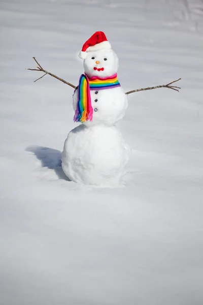 Lindo muñeco de nieve —  Fotos de Stock