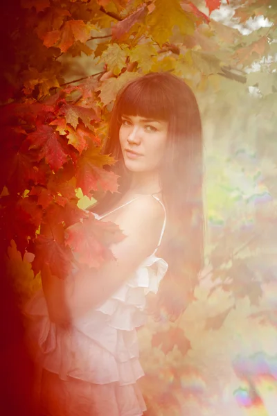 Herfst. mooie vrouw in de herfst. Stockfoto