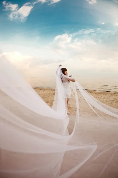 Beautiful bride with a long veil on the beach at sunset Stock Picture