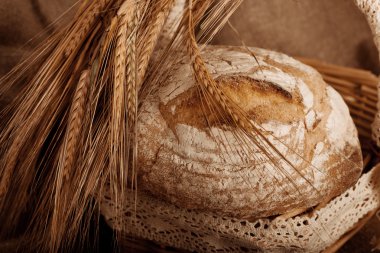 kulakları ile ekmek