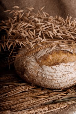 kulakları ile ekmek