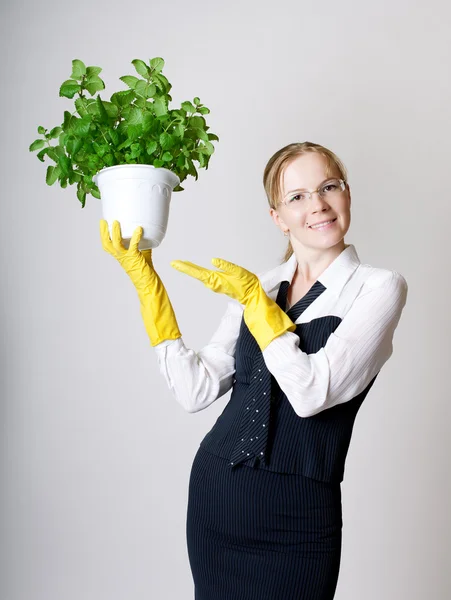 Framgångsrik affärskvinna — Stockfoto