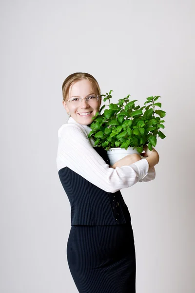 Donna d'affari di successo — Foto Stock