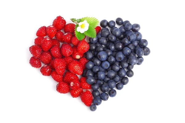 Fruits frais isolés — Photo