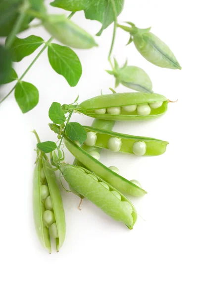 Peas — Stock Photo, Image