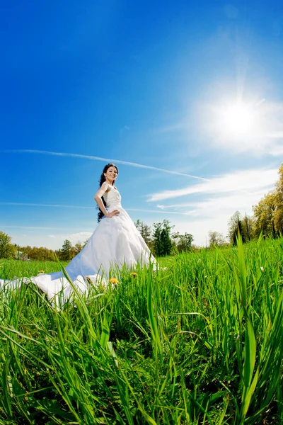 Noiva em um campo no sol — Fotografia de Stock