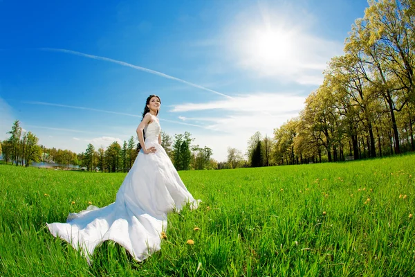 Novia en un campo bajo el sol — Foto de Stock