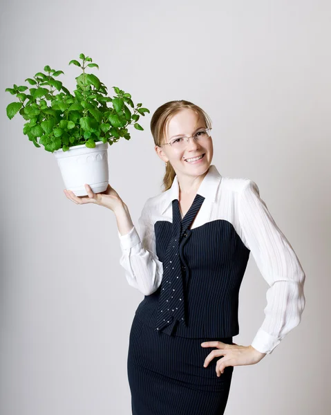 Successful business woman — Stock Photo, Image