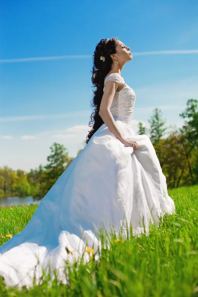 Bride on a field in the sunshine Stock Picture