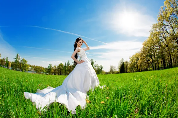 Bride on a field in the sunshine Royalty Free Stock Photos