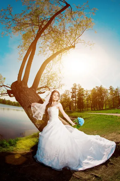 Bride on a field in the sunshine Royalty Free Stock Photos