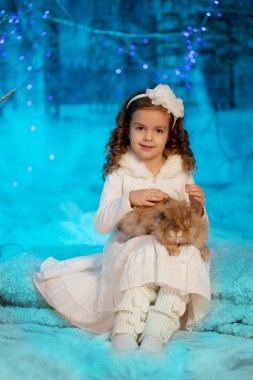 tavşan ile küçük kış kız