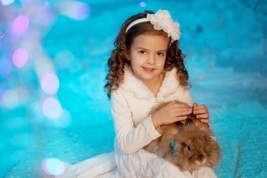 tavşan ile küçük kış kız