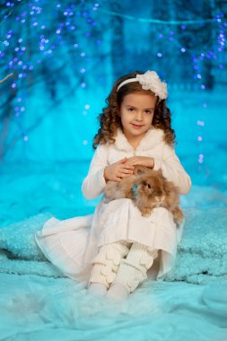 tavşan ile küçük kış kız