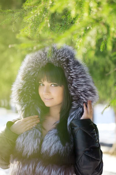在冬季公园的年轻女子 图库照片