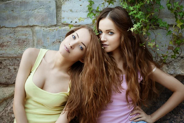 Hermosas gemelas jóvenes al aire libre — Foto de Stock