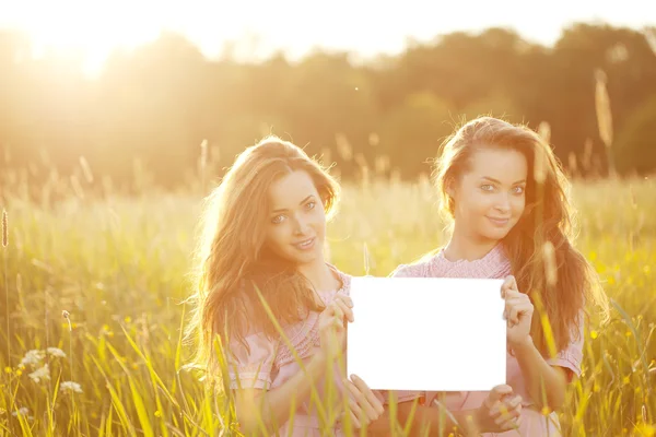 Gemelos sosteniendo afiche blanco al aire libre Imagen de stock