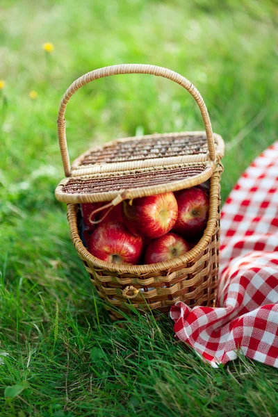 Korg med äpplen utomhus på gräs. — Stockfoto