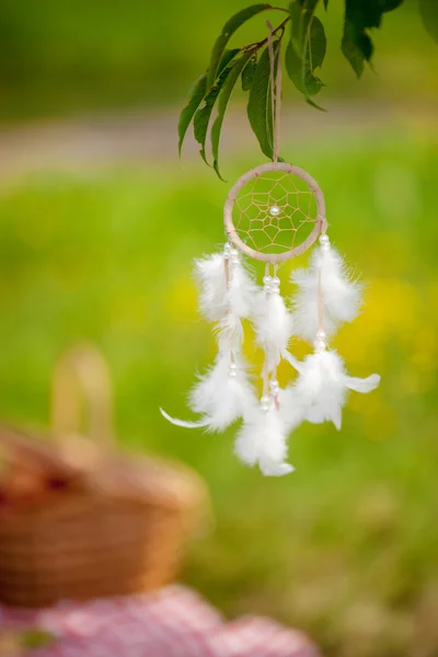 Dream catcher outdoors — Zdjęcie stockowe