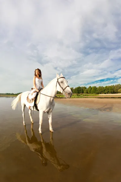 Young woman on a horse. Horseback rider, woman riding horse on b Royalty Free Stock Photos