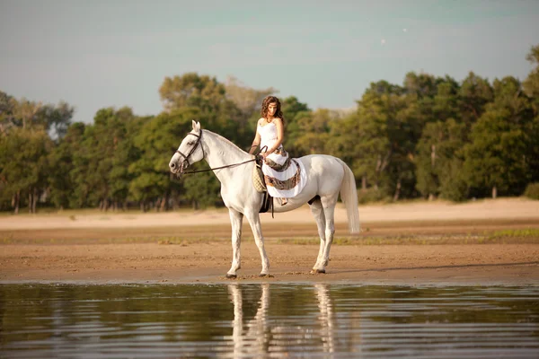 Young woman on a horse. Horseback rider, woman riding horse on b Royalty Free Stock Images
